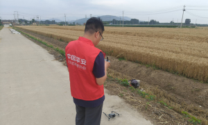 科技赋能抢收温情守护粮仓——平安产险泰安中心支公司全力应对强对流天气