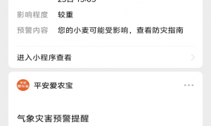 平安产险潍坊中心支公司极速响应，下沉田间查勘，护航夏粮丰产