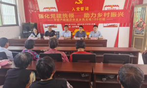 党建共建聚合力 金融赋能暖乡村 平安产险临沂中心支公司“乡风文明100行动”落地费县西新安村
