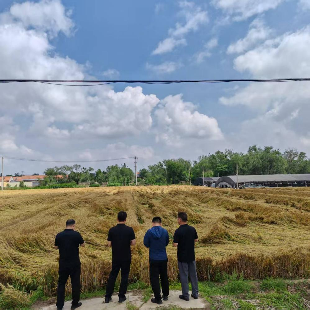 此图片的alt属性为空；文件名为图片8-1.png