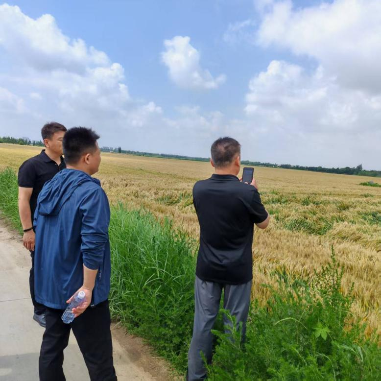 此图片的alt属性为空；文件名为图片9-1.png